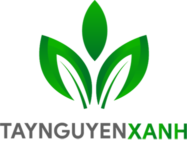 Tây Nguyên Xanh Holding